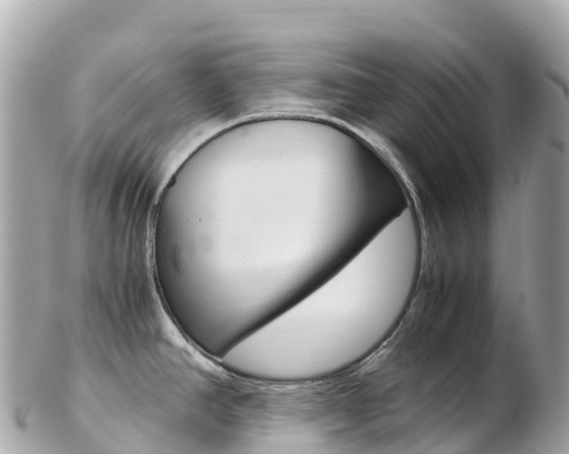X0000103311390200808291143