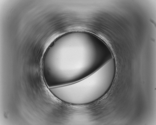 X0000103311392200808291143