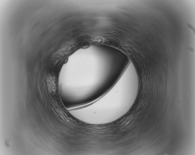 X0000103311394200808291142