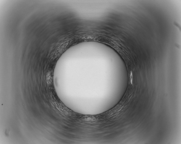 X0000103311395200808291142