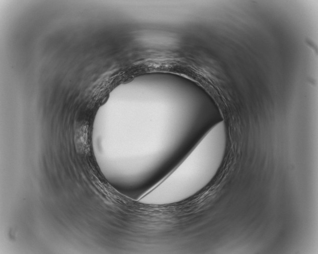 X0000103311396200808291142