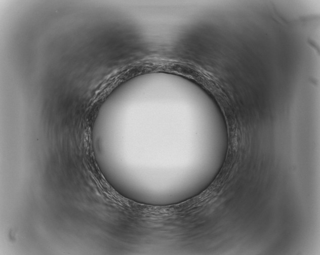 X0000103311397200808291142
