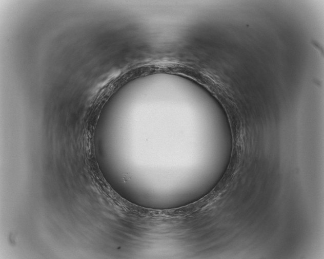 X0000103311398200808291142