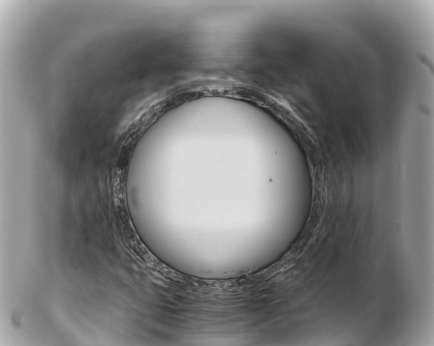 X0000103311399200808291142