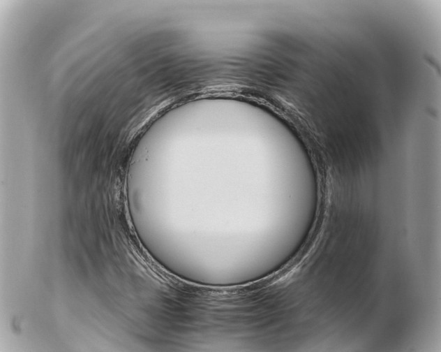 X0000103311401200808291142
