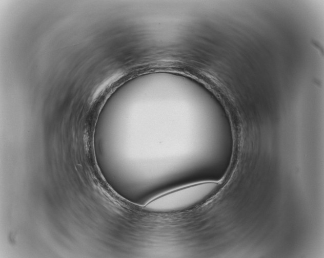 X0000103311402200808291142