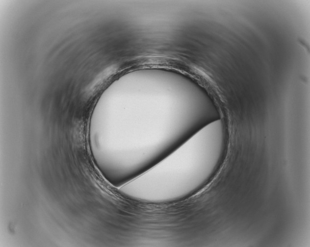 X0000103311403200808291142