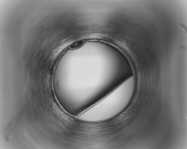 X0000103311404200808291142
