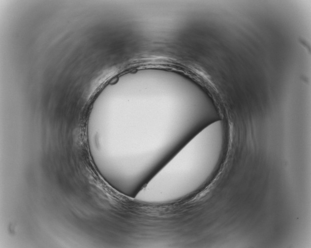 X0000103311405200808291142