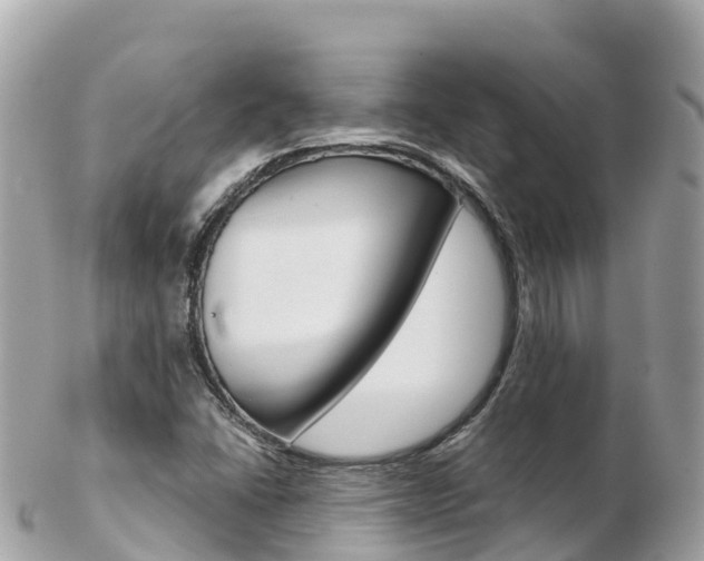 X0000103311406200808291142