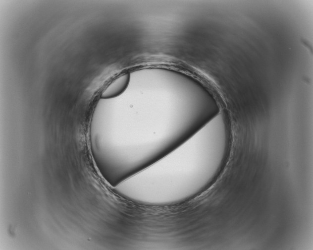 X0000103311407200808291142