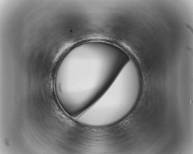 X0000103311408200808291142