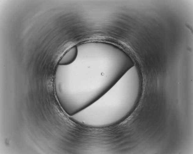 X0000103311409200808291142