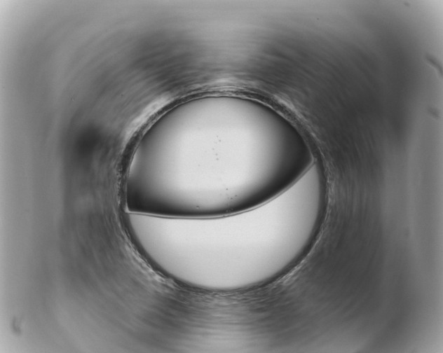 X0000103311410200808291142