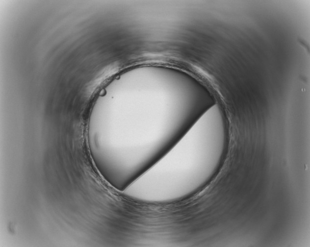 X0000103311411200808291142