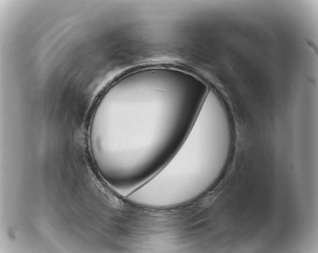 X0000103311412200808291142