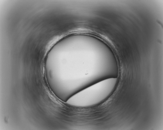 X0000103311413200808291142