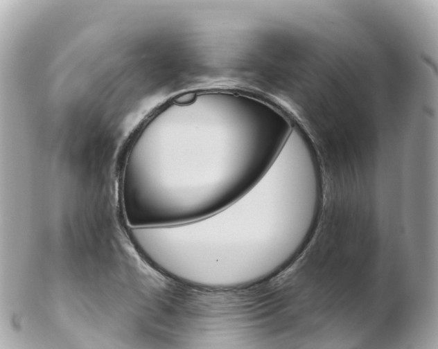 X0000103311414200808291142