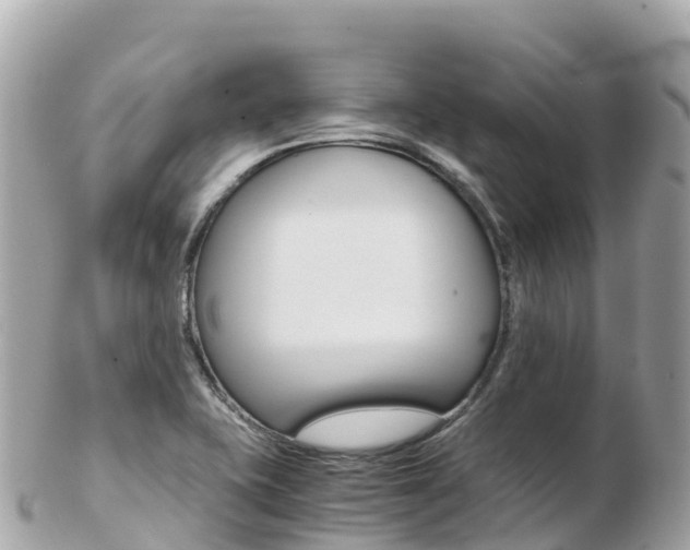 X0000103311415200808291142