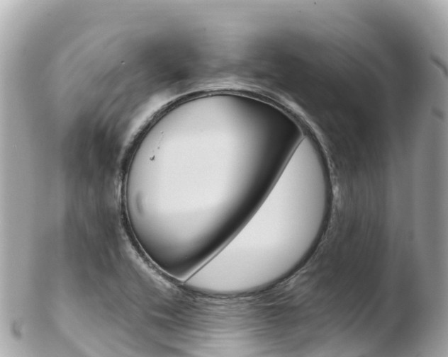 X0000103311416200808291142