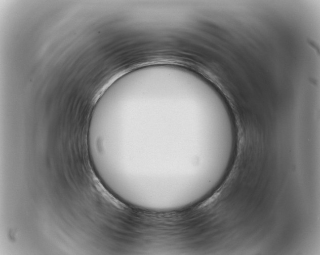 X0000103311417200808291142