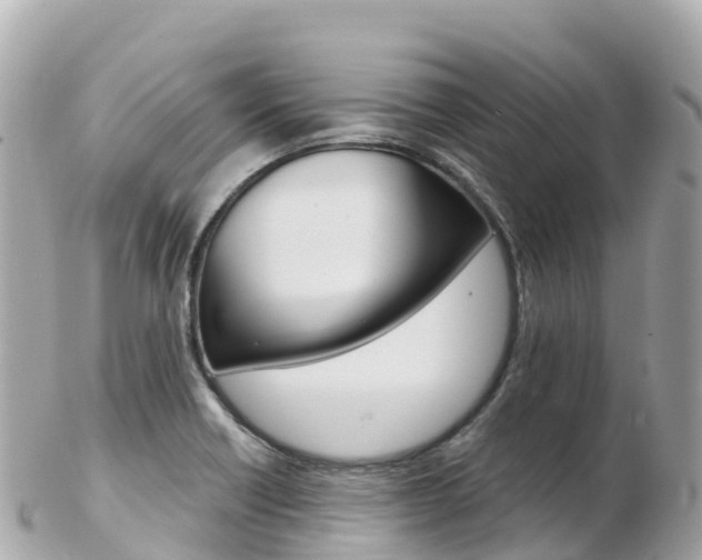 X0000103311418200808291142