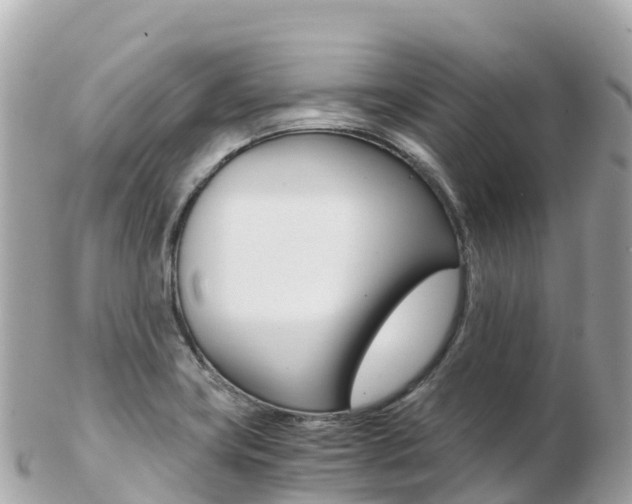 X0000103311419200808291142