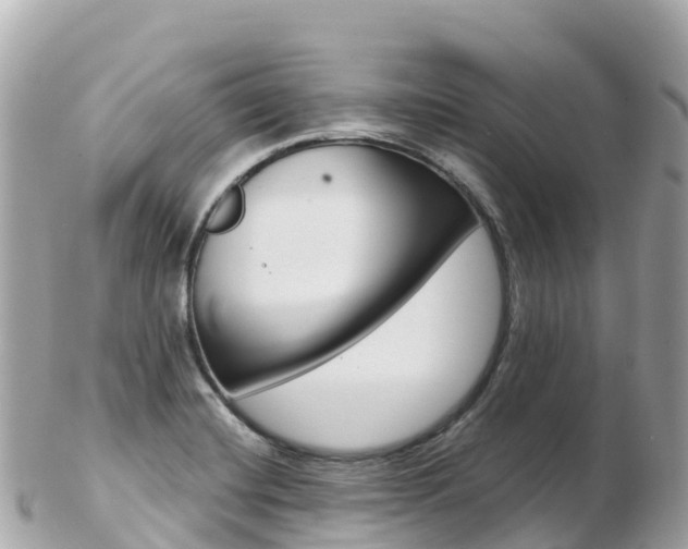 X0000103311420200808291143