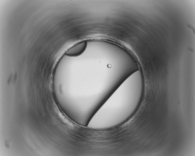 X0000103311421200808291143