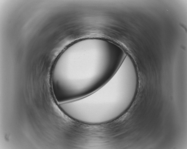 X0000103311422200808291143