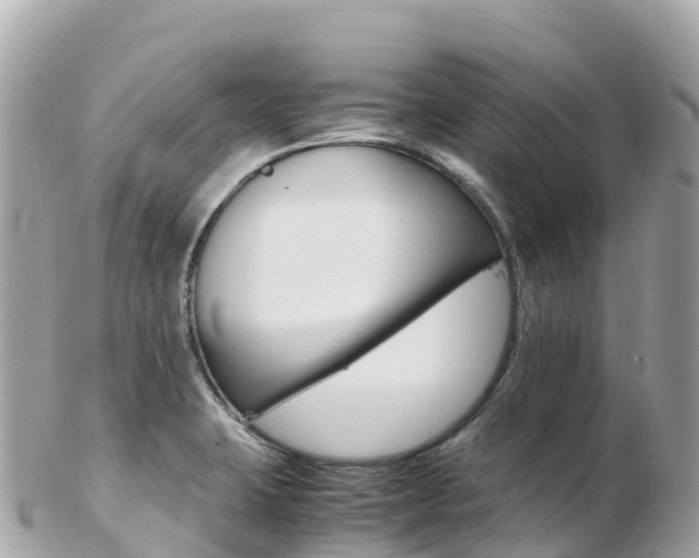 X0000103311423200808291143