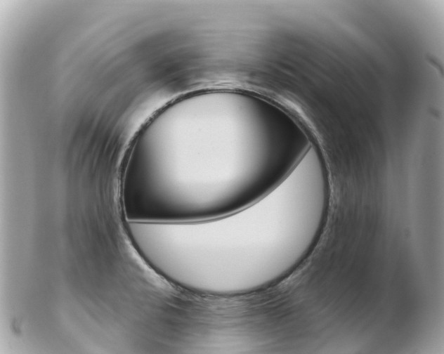 X0000103311424200808291143