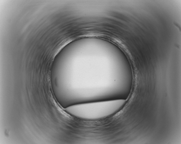 X0000103311425200808291143