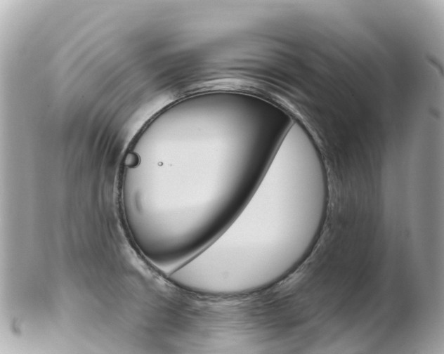 X0000103311426200808291143
