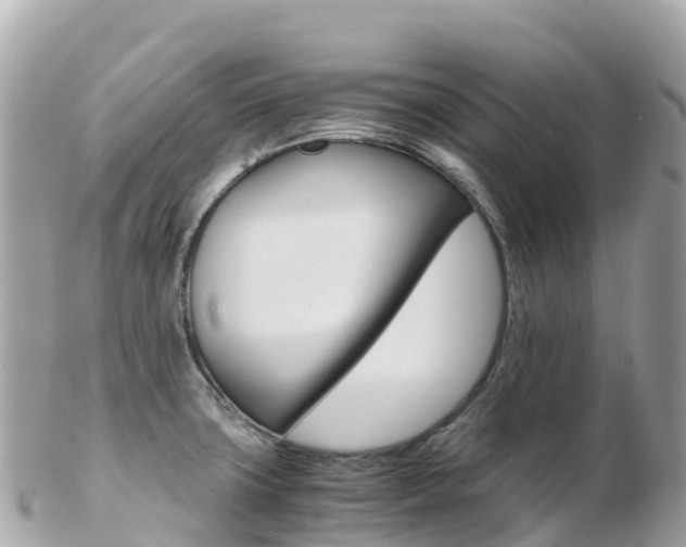 X0000103311427200808291143
