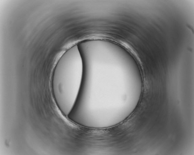 X0000103311429200808291143