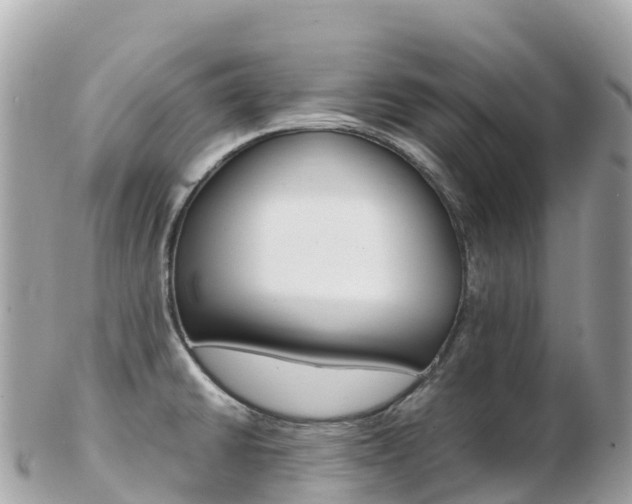 X0000103311430200808291143