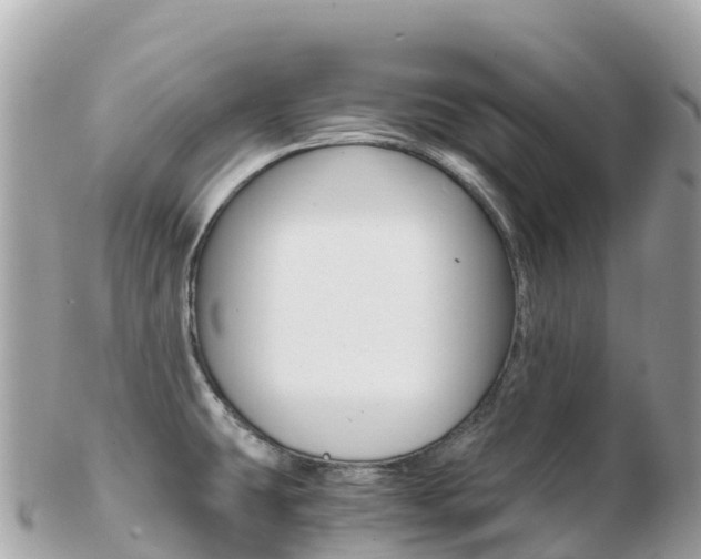 X0000103311431200808291143