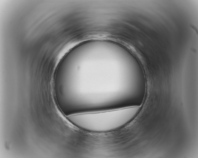 X0000103311432200808291143