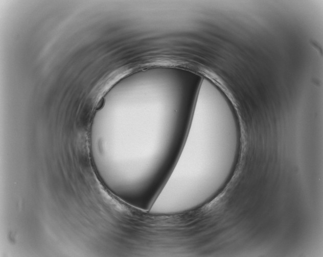X0000103311433200808291143