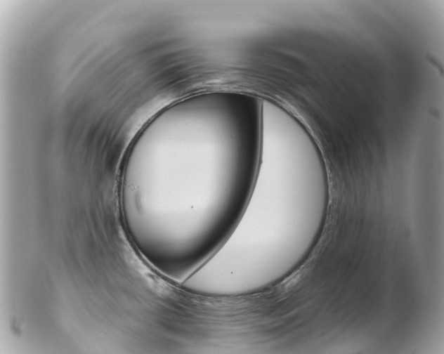 X0000103311434200808291143