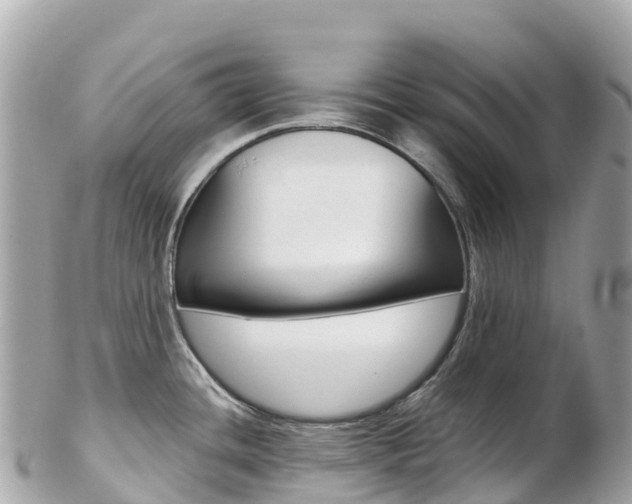 X0000103311436200808291143