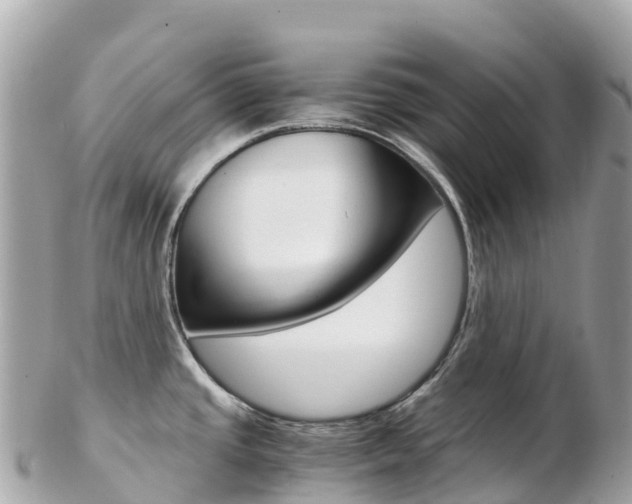 X0000103311437200808291143