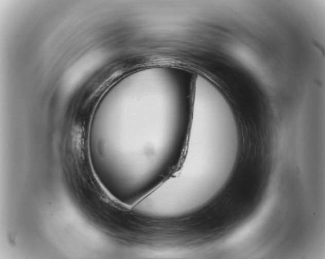 X0000103311438200808291143