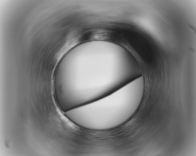 X0000103311439200808291143