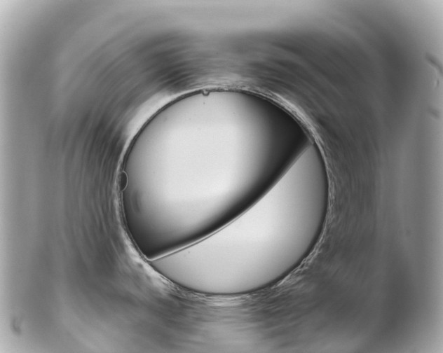 X0000103311440200808291143