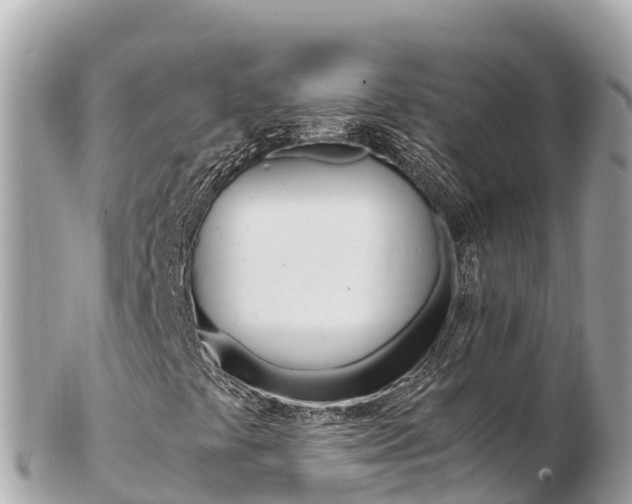 X0000103311441200808291142