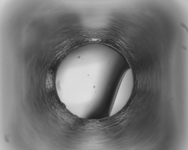 X0000103311442200808291142