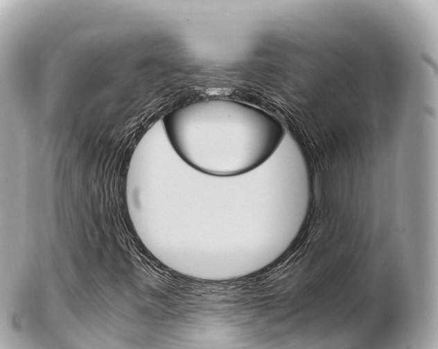 X0000103311443200808291142