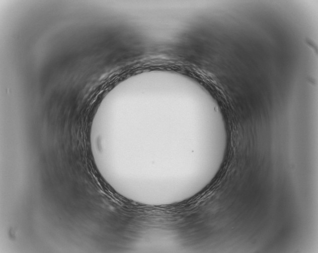 X0000103311445200808291142